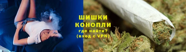 стаф Киренск