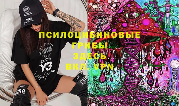 стаф Киренск
