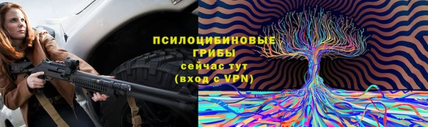 молекула духа Корсаков