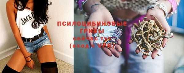 ешки Костерёво