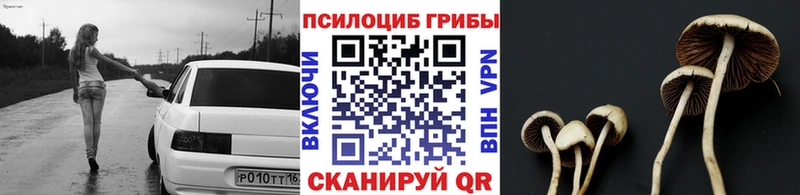 Псилоцибиновые грибы ЛСД  Кунгур 